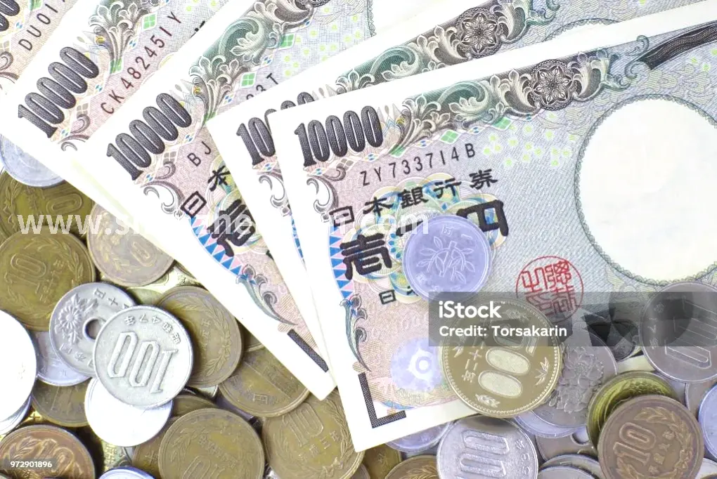 信用报告