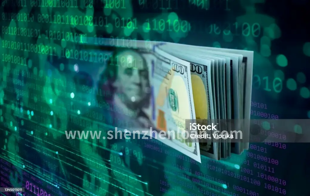 深圳房奴